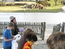 CIMG4361.resized_tn.jpg